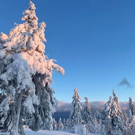 Guest house Садиба Рокса